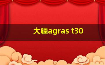 大疆agras t30